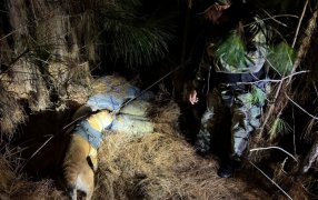 En operativos realizados en las provincia de Misiones y Corrientes, Prefectura Naval Argentina secuestró más de 268 kilos de droga