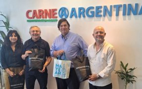 El INYM y el IPCVA apuestan a trabajar juntos en la promoción de la yerba mate y la carne argentinas