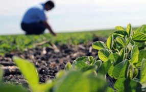 Córdoba: Rebajan impuesto rural para propietarios que trabajen sus campos