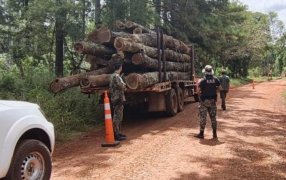 Misiones: Segunda carga de madera nativa incautada por la Policía Provincial en menos de 24 horas, eran transportados sin la correspondiente guía forestal