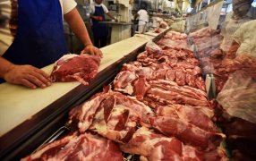 La brecha entre carne vacuna y de cerdo se acrecienta en cortes más populares