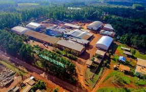 Misiones: Presidente de la Cooperativa Yerbatera Andresito negó una crisis y apuntó contra el uso político de un informe interno