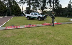 Misiones: Acopiaban paquetes de marihuana en cercanías al límite fronterizo