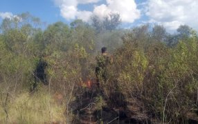 Posadas: Incendio de malezas fue controlado, dejando la zona fuera de peligro, sin registrarse daños materiales ni personas lesionadas