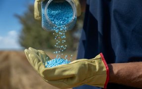 Foco en micronutrientes, la estrategia que hace explotar el rendimiento de la soja