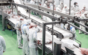 Frigoríficos alertan por los altos costos de las ART y piden avanzar con la reforma laboral