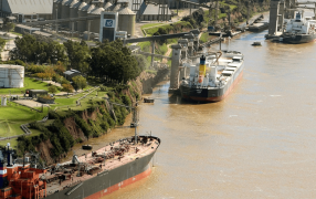 Los barcos hacen fila en el Gran Rosario: La soja argentina, en un mini “boom” exportador