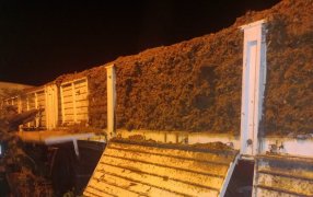 Gendarmería Nacional secuestró marihuana en un camión de carga que transportaba huesos triturados para uso industrial