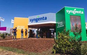 Sugestiva denuncia contra Syngenta: La investigan por contrabando calificado