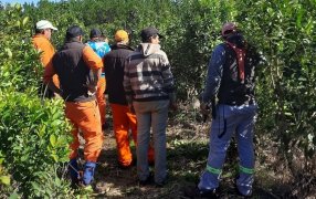 El RENATRE finalizó una jornada de dos capacitaciones para el sector yerbatero en Corrientes