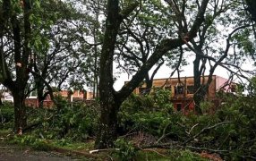 Apóstoles: En la madrugada del día viernes un tremendo temporal provocó caídas de árboles, cartelerías y tendido eléctrico