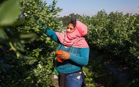 "El camino es generar igualdad de condiciones en el desarrollo del trabajo"