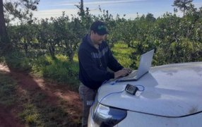 El INYM creó el primer mapa interactivo de yerba mate de la Argentina