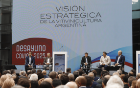 La cadena del vino pide financiamiento a largo plazo para seguir por la vía del crecimiento