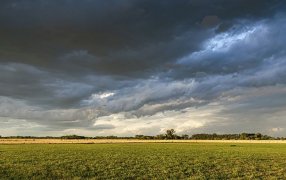 Finaliza el ciclo de “La Niña” y proyectan el clima para el próximo otoño