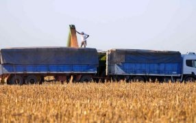 El Gobierno Nacional formalizó la baja temporal de retenciones para granos y su eliminación en economías regionales