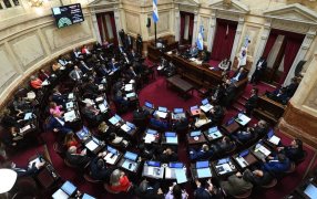 Cuatro Legisladores rompieron el interbloque y crearon Unidad Federal: El Frente de Todos se desguaza en el Senado