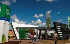 "Vamos a lanzar la licitación de YPF Agro"
