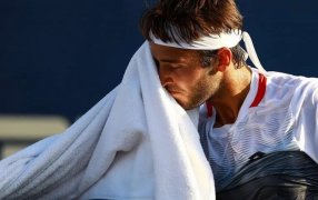Tenis: El argentino Etcheverry cayó en la final del ATP 250 de Santiago de Chile frente a Nicolás Jarry