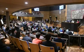 Misiones: Diputados aprobaron Proyecto de Ley que establece el marco regulatorio para implementar el Servicio de Medicina del Estrés