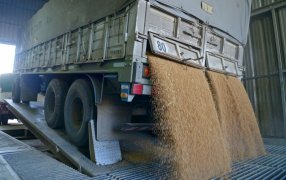 El Gobierno Nacional eliminó el RUCA y toda la información se unificará en el SISA: La Resolución entrará en vigencia el próximo 6 de Mayo