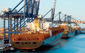 Exportaciones agroindustriales crecieron más del 55% en 2024