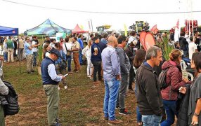 Santa Fe: Un gran escenario para la producción de soja y maíz con biológicos en Venado Tuerto