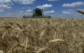 Retenciones: El Gobierno Nacional oficializó la prórroga de la rebaja para trigo y cebada