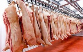 Apóstoles: Cuanto costará el kilo del lechón para las fiestas de fin de año