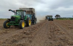 En Córdoba, la sequía dejó nocaut a la soja y al maní
