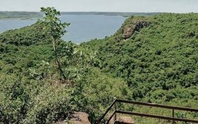 La provincia de Misiones apuesta a la restauración de su selva