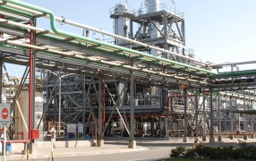 Las grandes fábricas de biodiésel llevan siete años de caída y piden un mayor corte en el gasoil