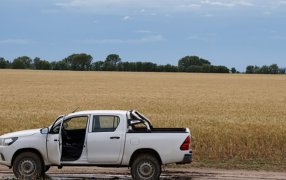 ¿Con cuantas toneladas de granos compro una camioneta en Noviembre?