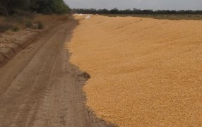 Federación Agraria repudió un nuevo ataque a silobolsas y cuestionó la “desidia estatal”