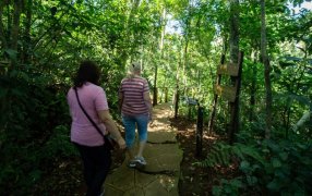 Misiones: Senderismo consciente y meditación guiada en el Parque Salto Encantado