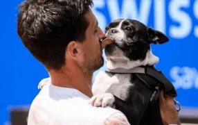 Tenis: El argentino Pedro Cachín ganó su primer título ATP en Gstaad y lo festejó con su perro