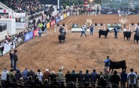 Arranca La Rural 2025: La gran ciudad se prepara para “sentir la tradición” del campo argentino