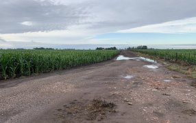 Llegaron lluvias, pero pocas: ¿Seguirán?, qué dicen los pronósticos a corto y mediano plazo