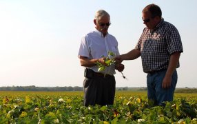 Censo Nacional Económico: El campo concentra el 10% de las empresas argentinas