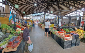 Conocé las ofertas y novedades del Mercado Concentrador de Posadas: Combos desde 1.000 pesos