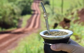 Las ventas de yerba mate superaron los 70 millones de kilos durante el primer trimestre