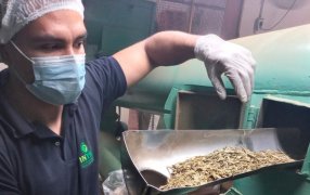 El INYM continúa con los controles sobre precios mínimos de la materia prima