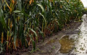 Continúan firmes las proyecciones de lluvias en el centro y este del país para los últimos meses del año