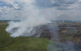 Con los Esteros del Iberá en “estado crítico”, los incendios forestales vuelven a preocupar a Corrientes