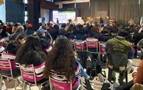 El RENATRE promueve el desarrollo sostenible y la rentabilidad de la cría de ovinos en Córdoba