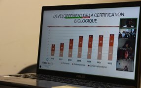 Día Nacional del Mate en Francia, con énfasis en la Yerba Mate Argentina que se produce cuidado la naturaleza
