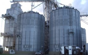 Refrigeración artificial, una opción para almacenar granos en regiones calurosas