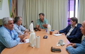 Habilitan líneas de créditos con tasa bonificada para secaderos y molinos yerbateros