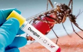 Dengue: Por qué reaparecen los brotes epidémicos y qué investigaciones hay sobre el tema