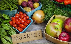 Producción orgánica: Cómo es el proyecto de fomento que avanza en el Congreso